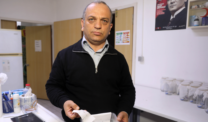 Antalya'da Yoğun Yağışlar Sonrası Sivrisinek Alarmı