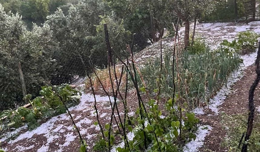 Şiddetli Doluyu Hem Kaydetti Hem Dua Etti