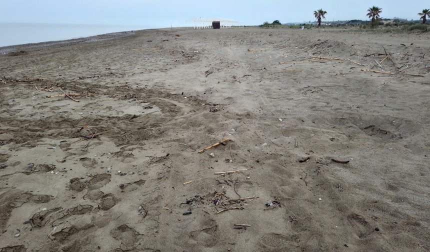 Caretta Sezonu Açıldı; Belek'te İlk Yuva evinci