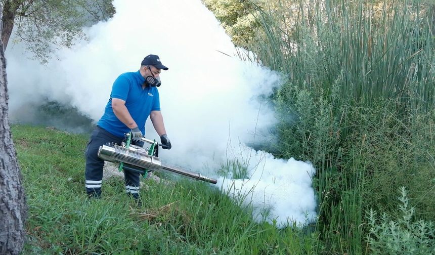 Boğaçayı'nda vektörle mücadele çalışması