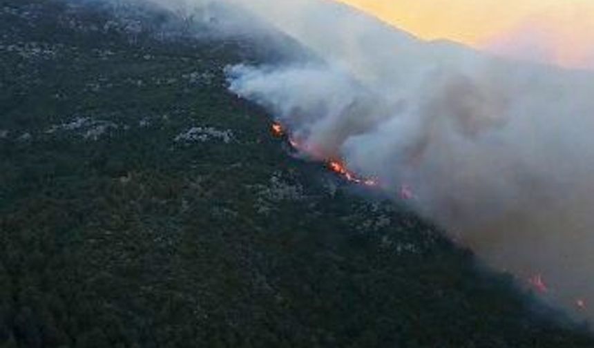Antalya Kaş’ta orman yangını