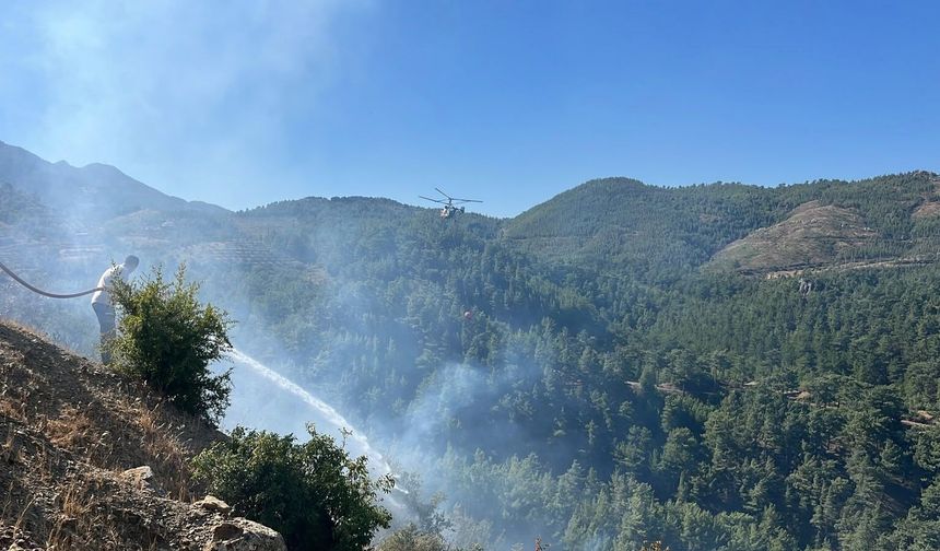 Alanya'da orman yangını sebebiyle 45 ev tahliye edildi