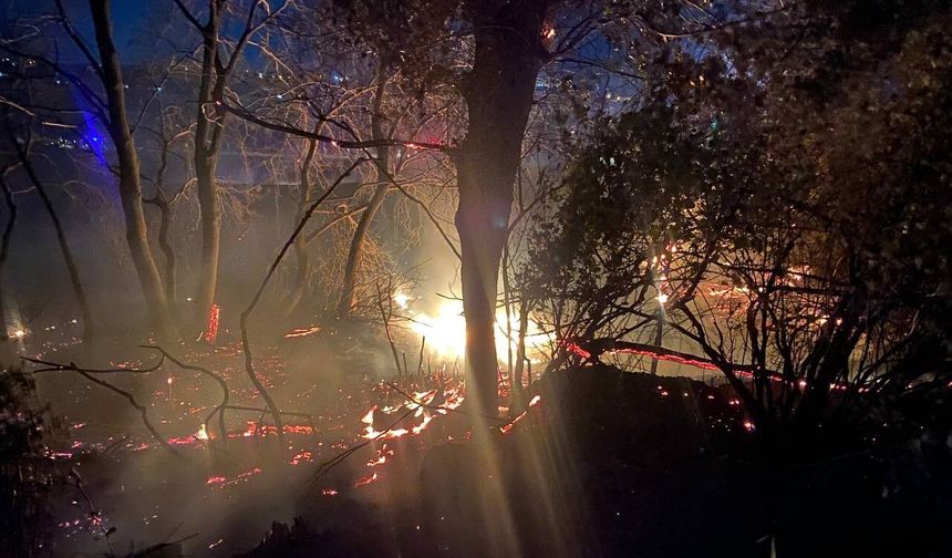 Antalya'da 3 günde 8 ilçede 34 yangın çıktı