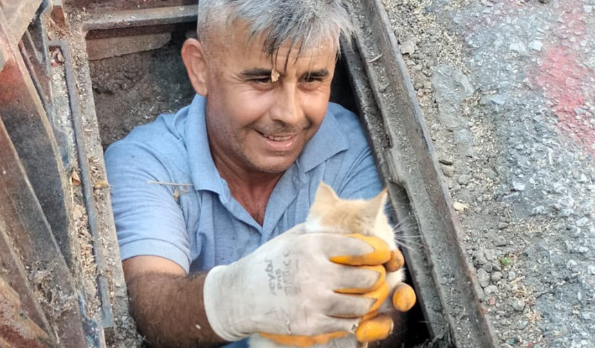Kanalizasyona düşen kedi belediye ekiplerince kurtarıldı