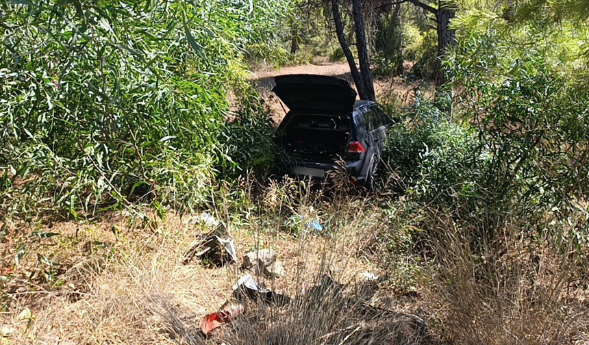 Önündeki otomobile çarptı, ardından ormana daldı