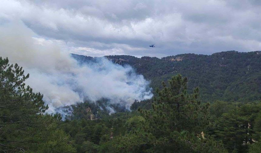 Manavgat'ta 22 saatlik yangın kontrol altına alındı