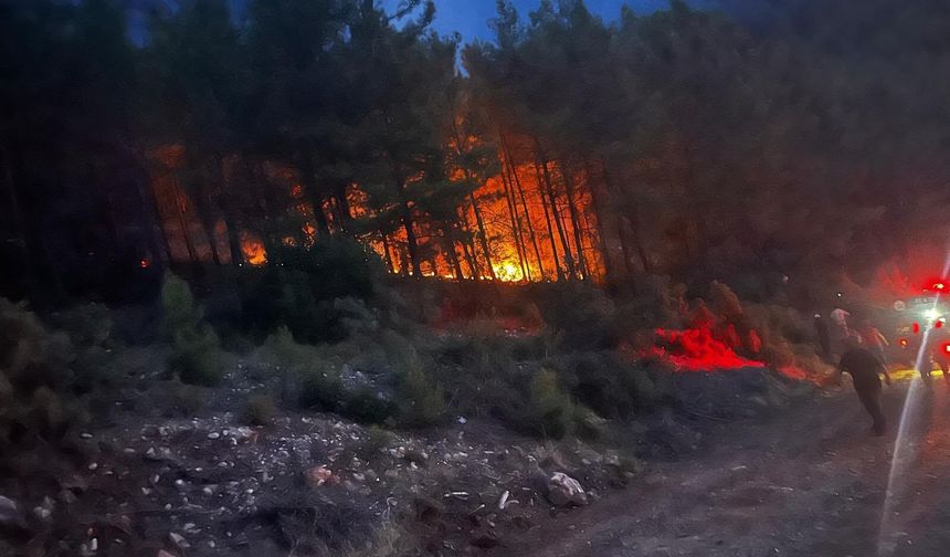 Alanya'da ormanlık alanda yangın çıktı