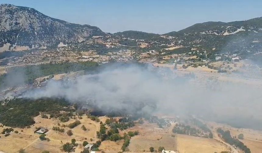 Kaş'ta ormanlık alanda yangın