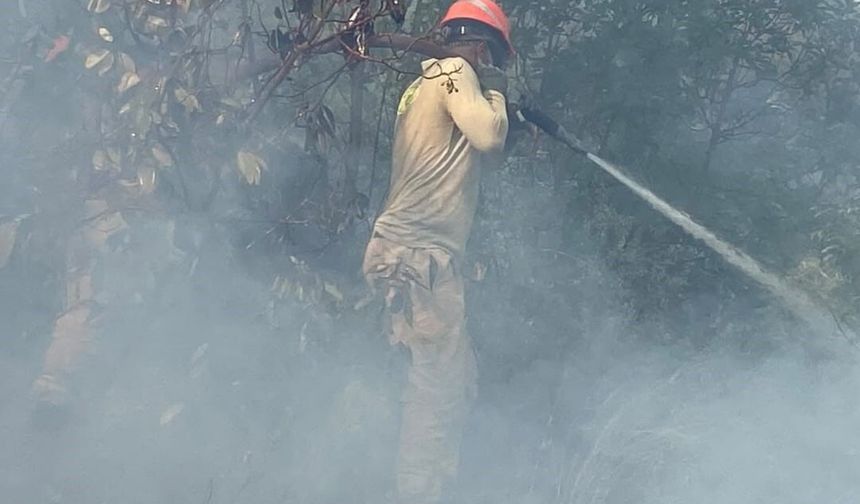 Kaş'ta çıkan orman yangını 2,5 saatte kontrol altına alındı