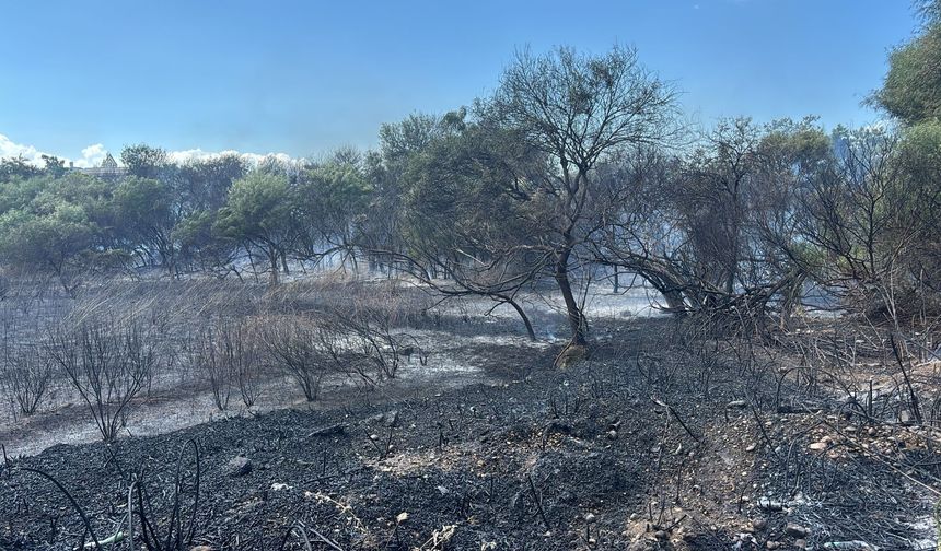 Manavgat'ta boğaz mendirek yolunda korkutan yangın