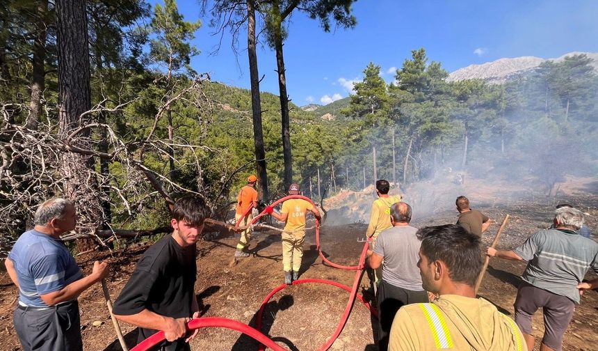 Beşkonak’ta kopan enerji hattı orman yangınına neden oldu
