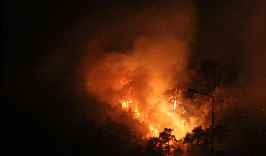 Orman yangınları: Önlemler ve olası durumda yapılması gerekenler