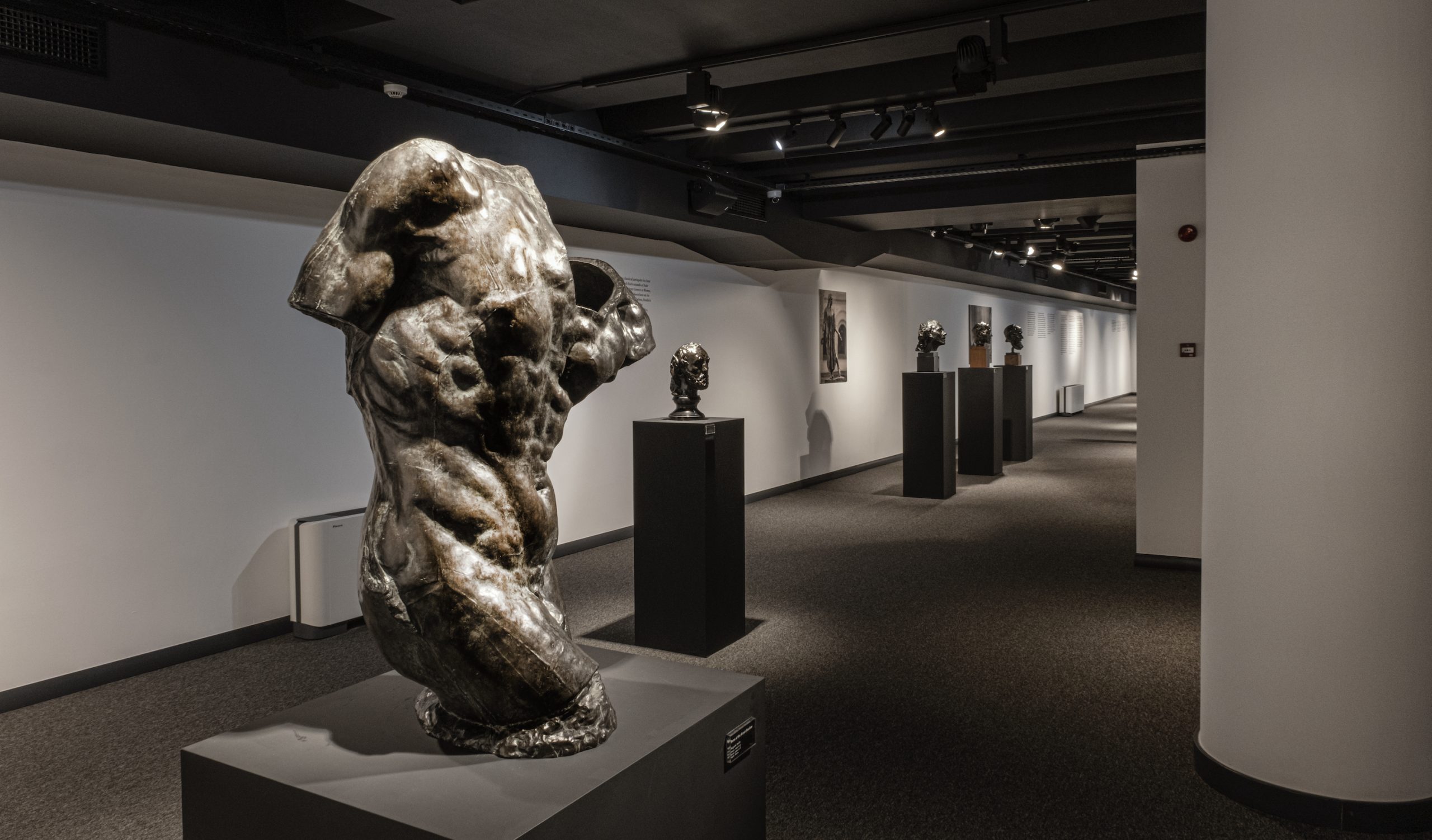 THE-ARKIN-RODIN-COLLECTION-GALLERY2-scaled