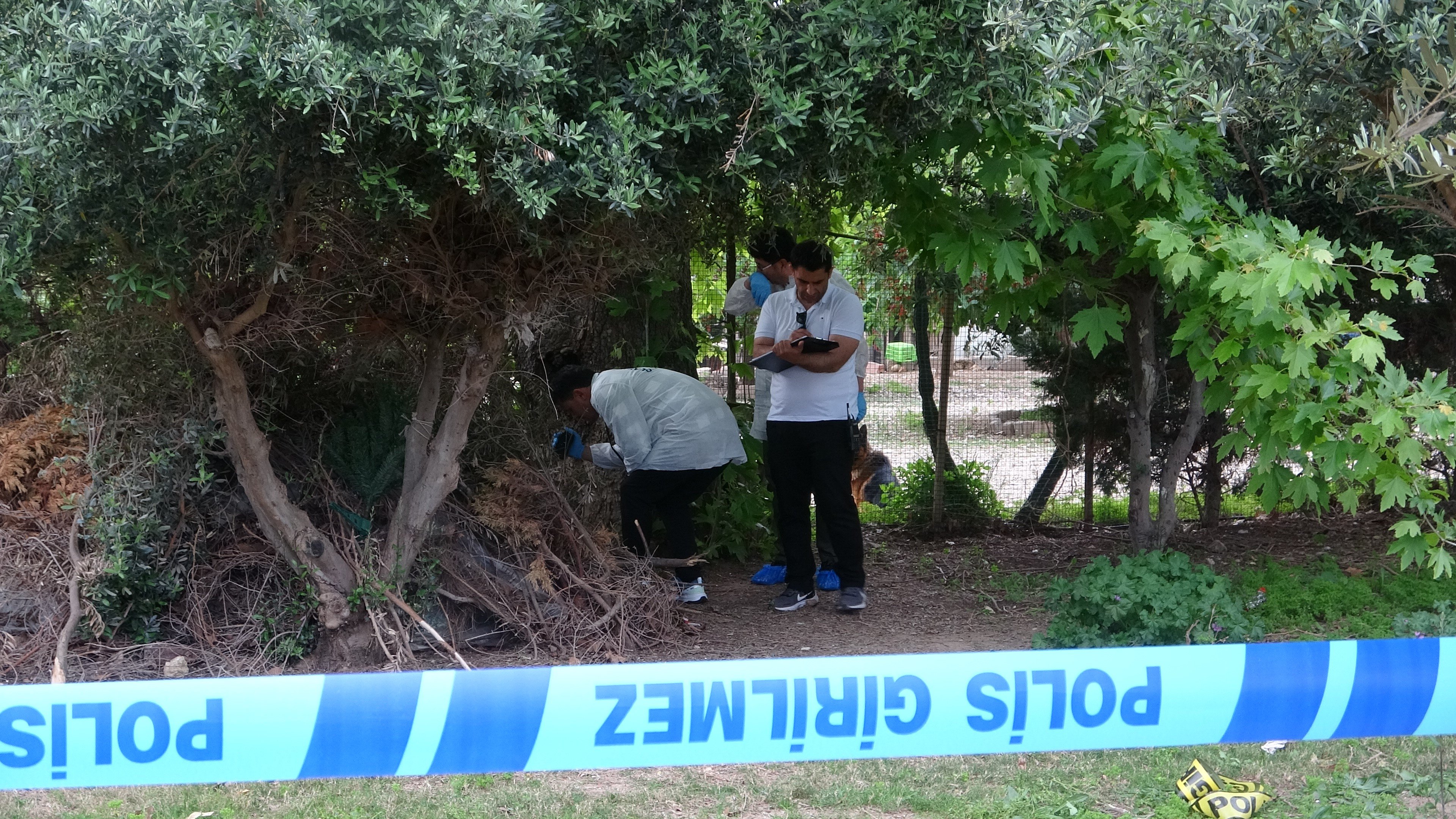 Antalya'da Bir Kişi Ağaçlık Alanda Ölü Bulundu