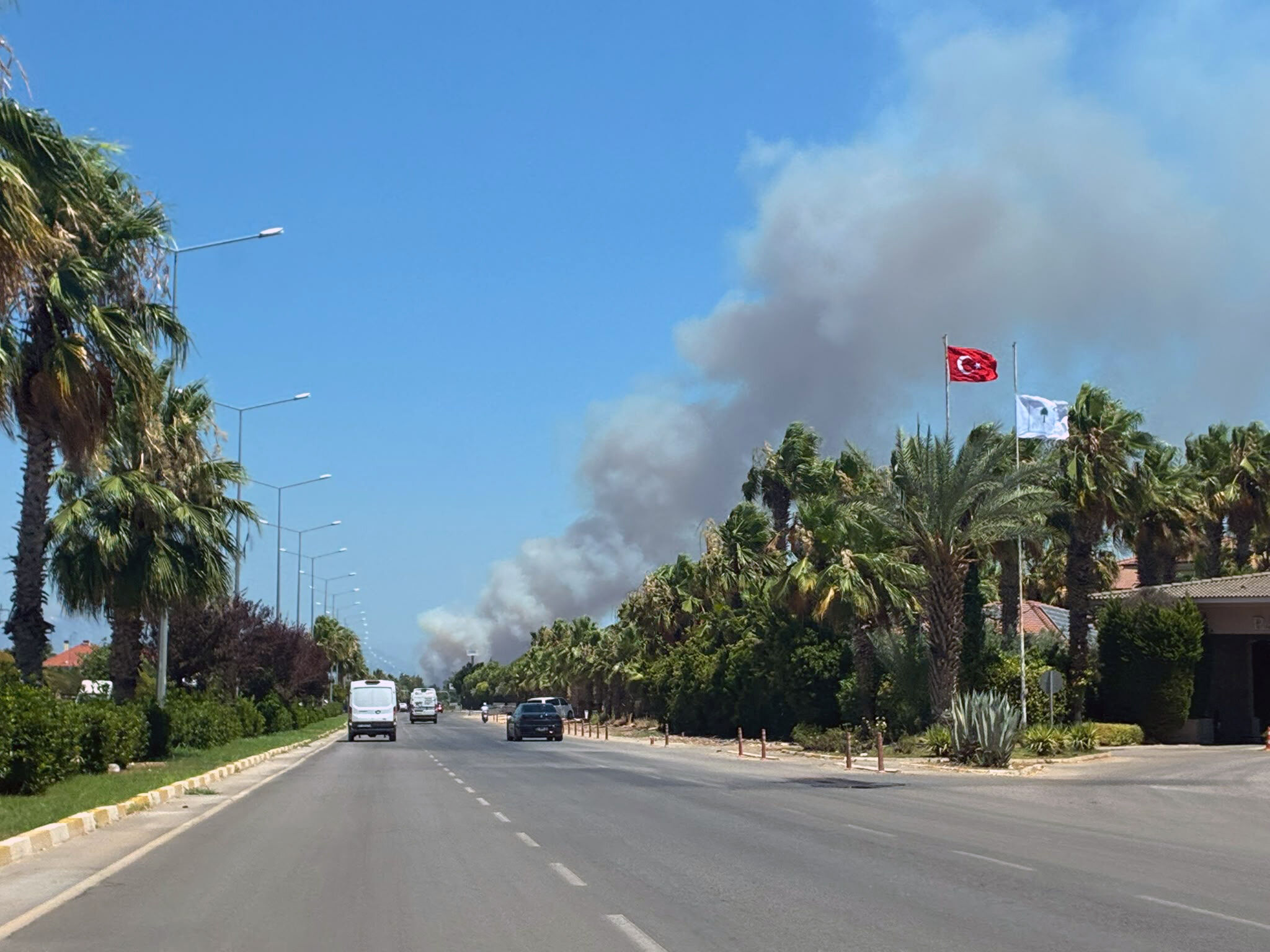 Antalya'da ormanlık alanda yangın