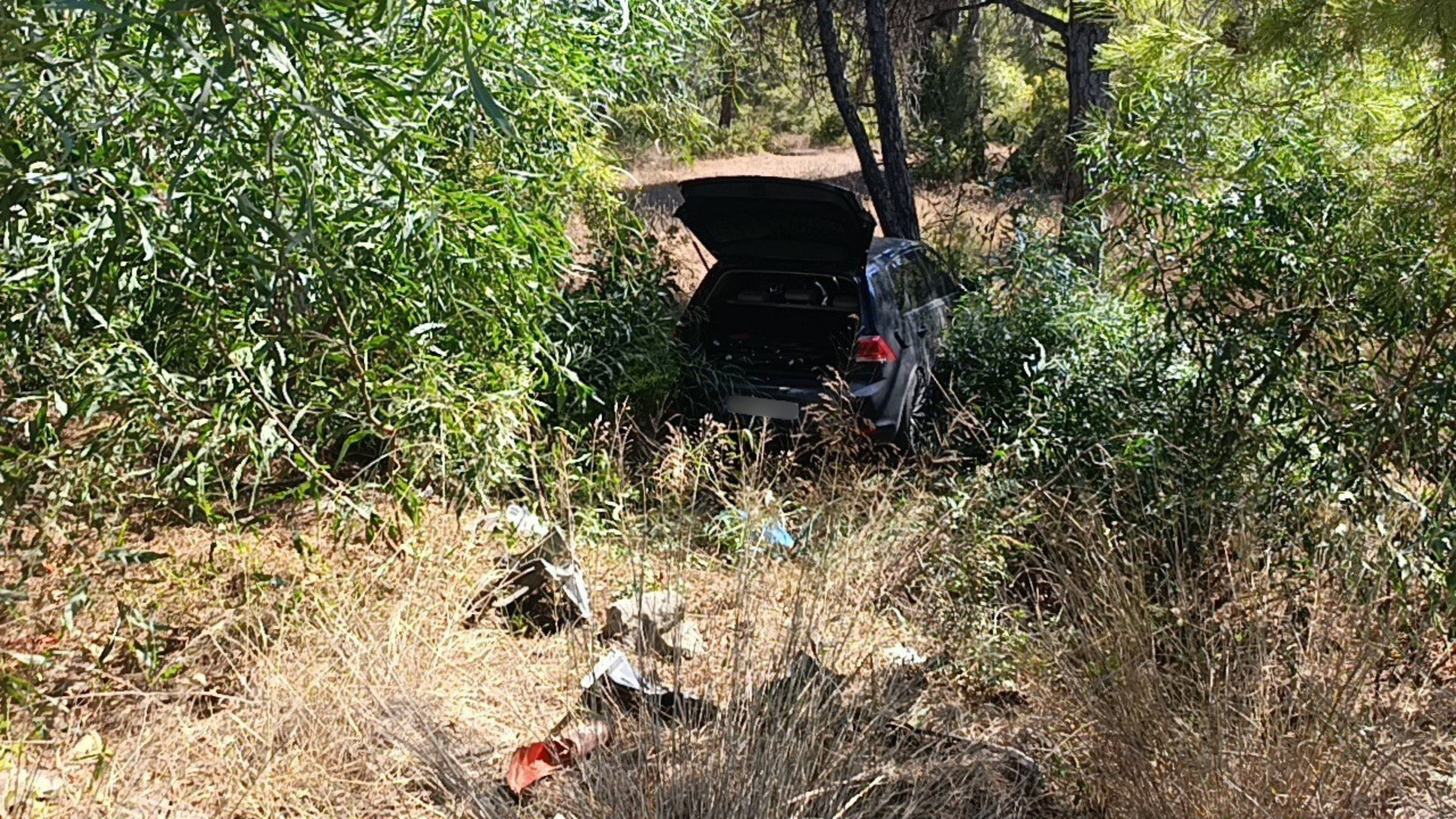 Önündeki otomobile çarptı, ardından ormana daldı
