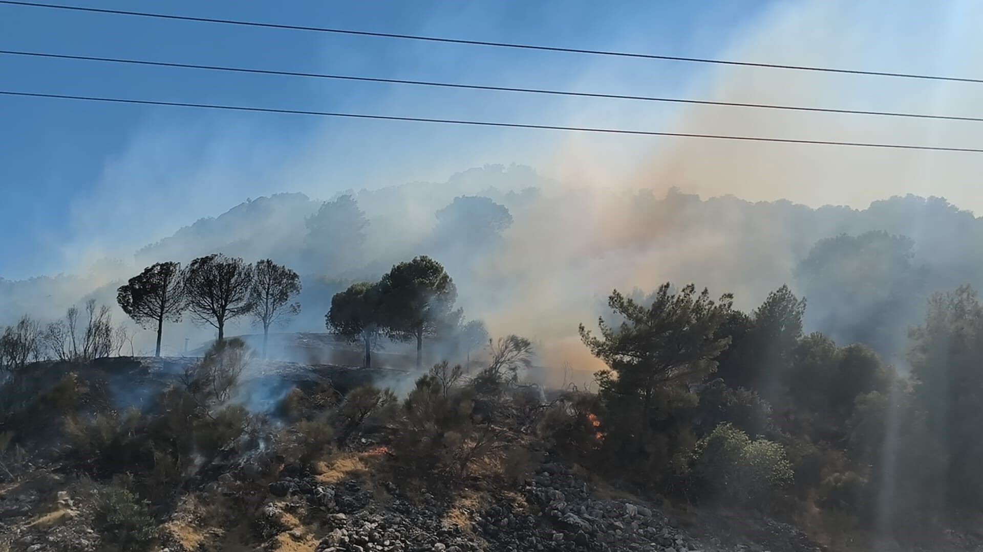 Antalya'da iki ilçede çıkan orman yangınına müdahale ediliyor
