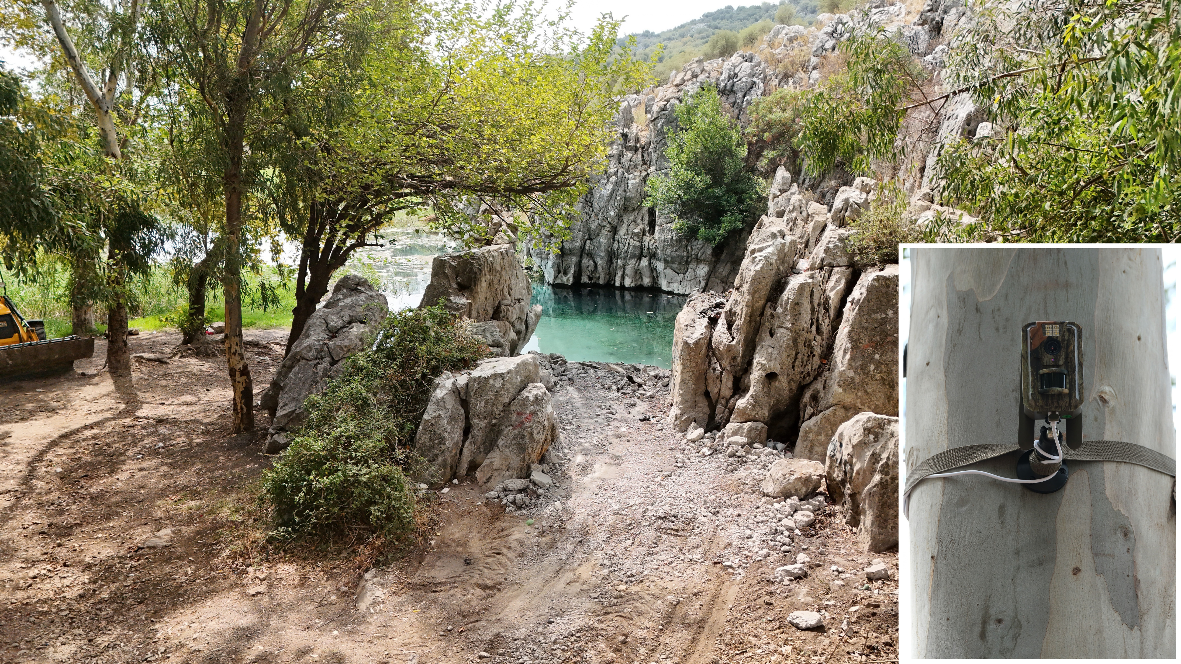 Antalya'nın en önemli su kaynağından Kırkgöz, fotokapanlarla korunacak